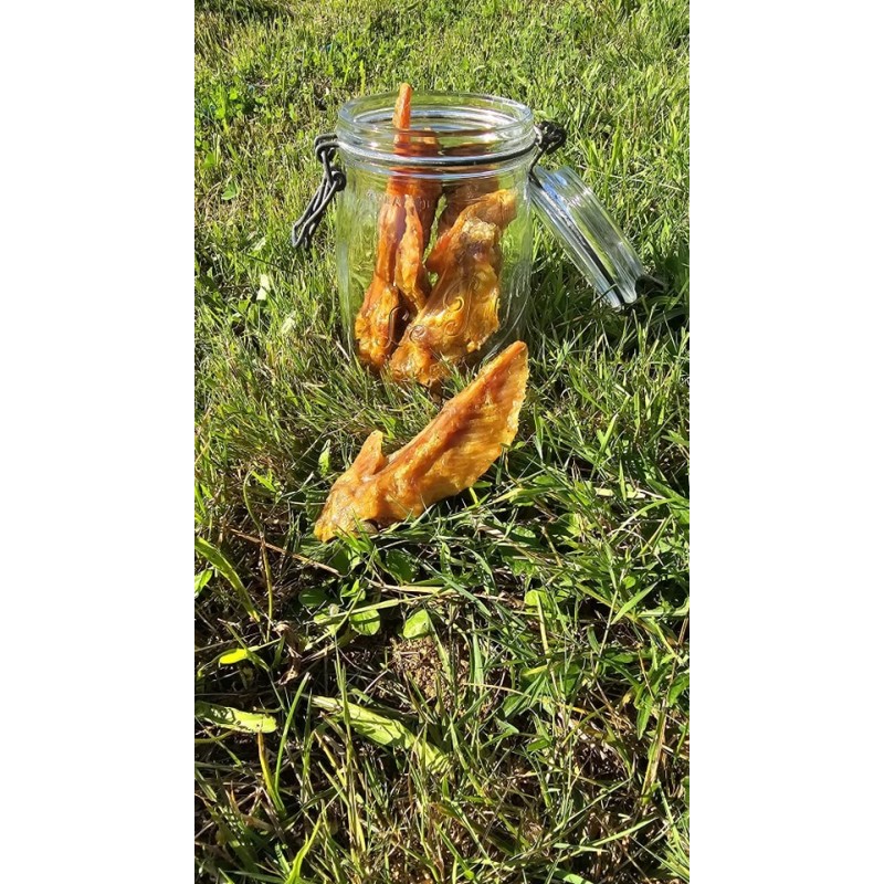 Ailes de dinde pour chien | Friandise naturelle à mâcher Com’ Educ