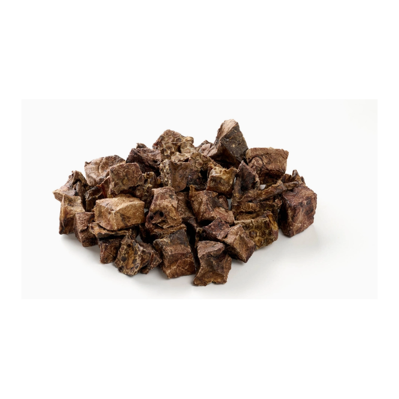 Cube poumon de cheval - Com' Educ