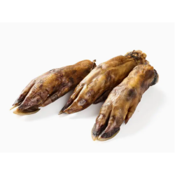 Pied de sanglier pour chien – Friandise naturelle & mastication longue