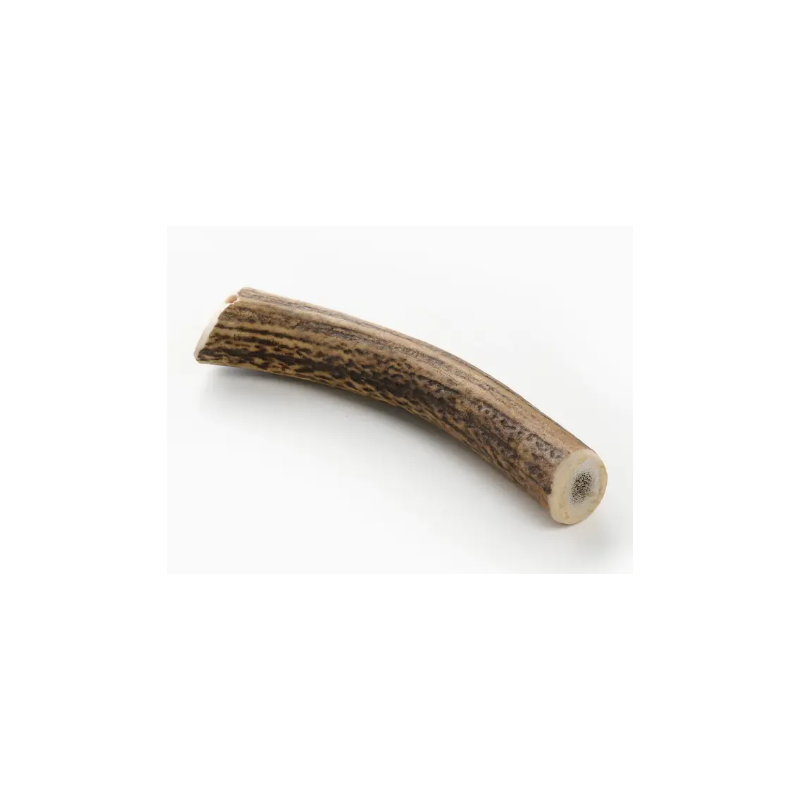 bois de cerf pour chien mastication naturelle