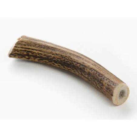 bois de cerf pour chien mastication naturelle