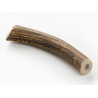 bois de cerf pour chien mastication naturelle