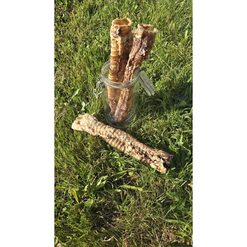 Trachée de bœuf Trachée de bœuf