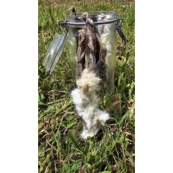 oreilles de lapin avec fourrure friandise naturelle pour chien