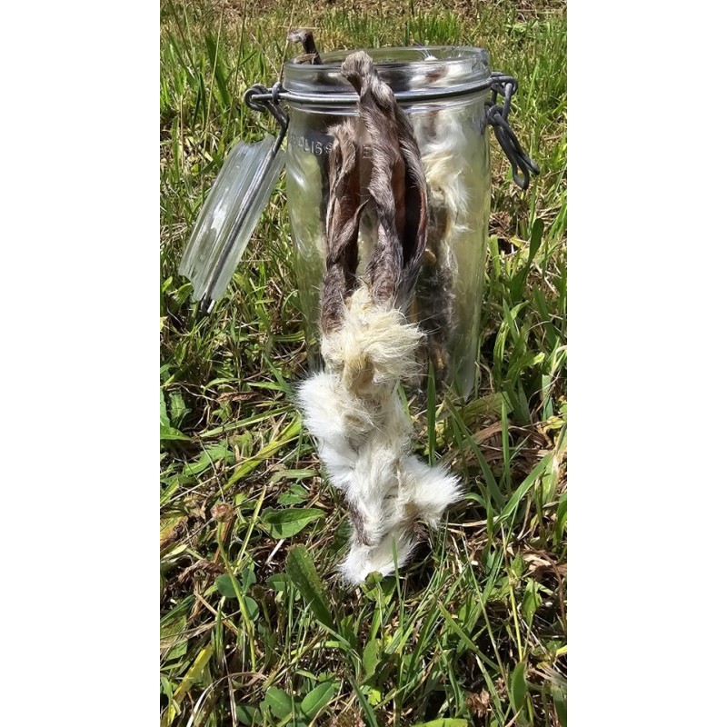 oreilles de lapin avec fourrure friandise naturelle pour chien