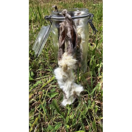 oreilles de lapin avec fourrure friandise naturelle pour chien