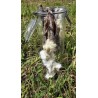 Paire d'oreille lapin - Com' Educ