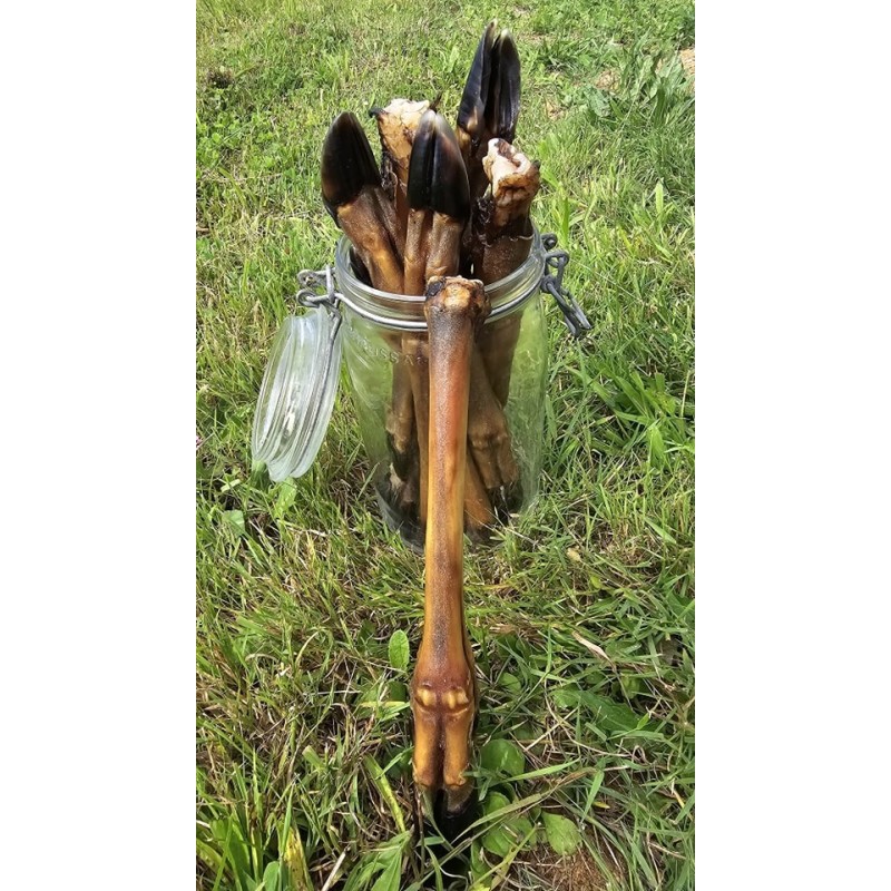 jambe de chevreuil friandise naturelle pour chien