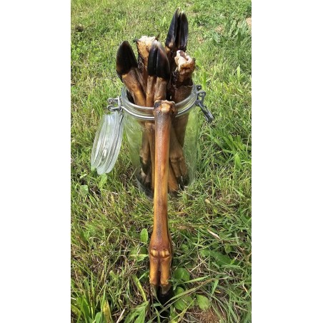 jambe de chevreuil friandise naturelle pour chien