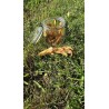 Patte de poulet - Com' Educ