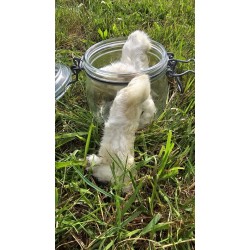 Pied de lapin avec fourrure pour chien | Friandise naturelle Com’ Educ’