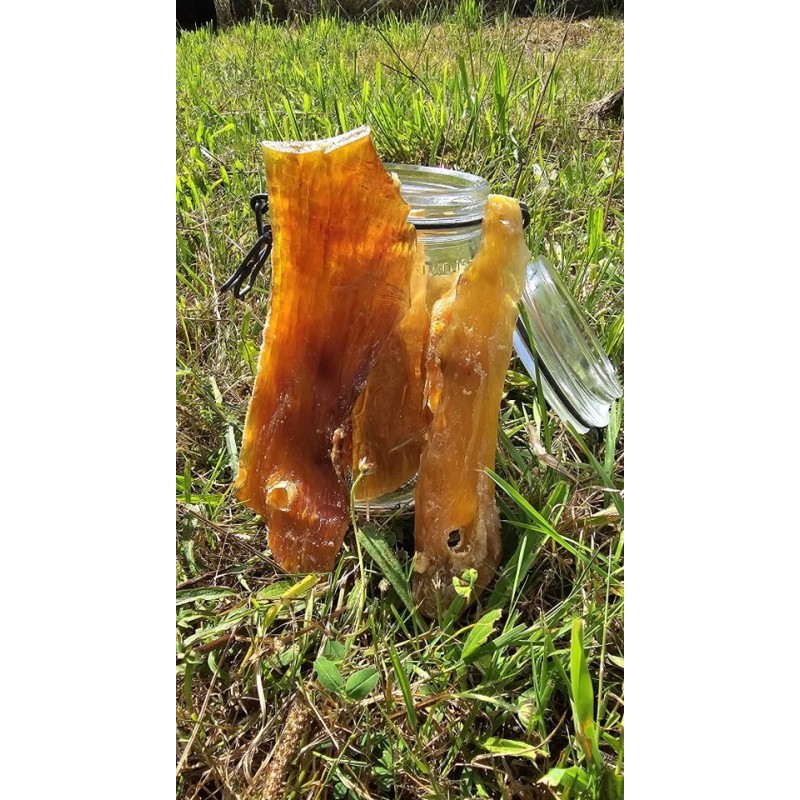 Tendon de bœuf Tendon de bœuf