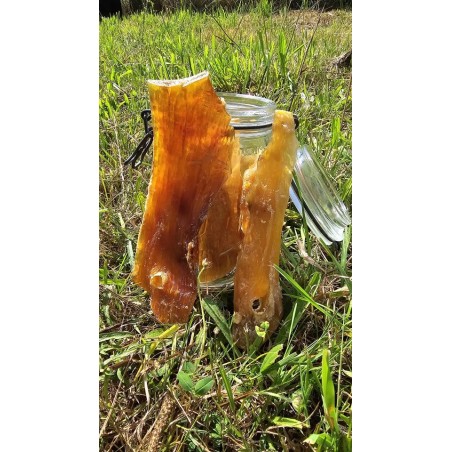 Tendon de bœuf