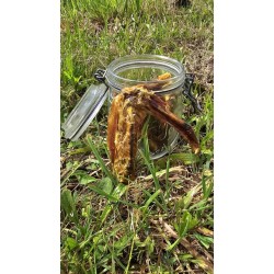 ailes de canard naturelles pour chien