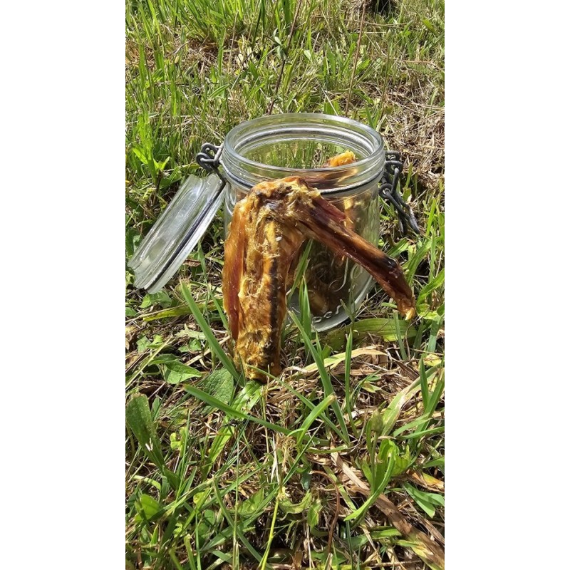 ailes de canard naturelles pour chien