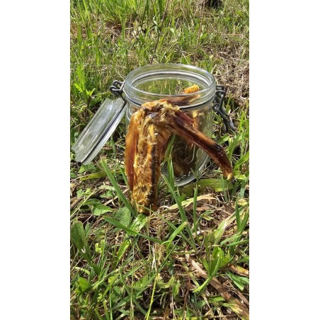 ailes de canard naturelles pour chien