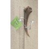 bois de cerf pour chien mastication naturelle