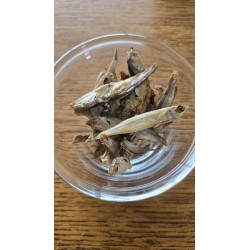 Anchois