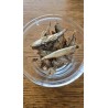 Anchois
