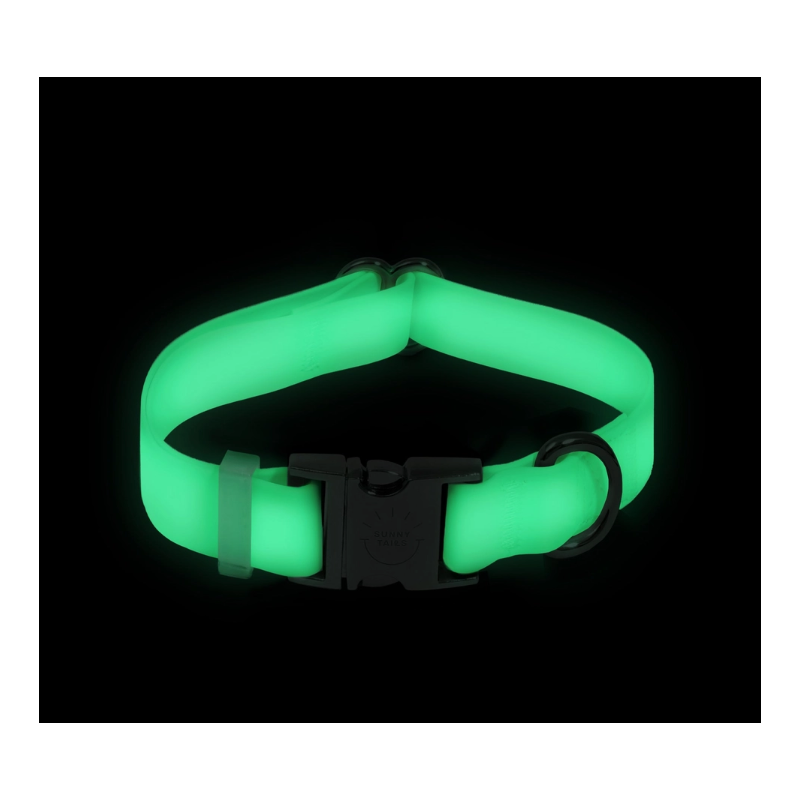 Collier Lunar Glow Phosphorescent pour Chien – Confort & Sécurité