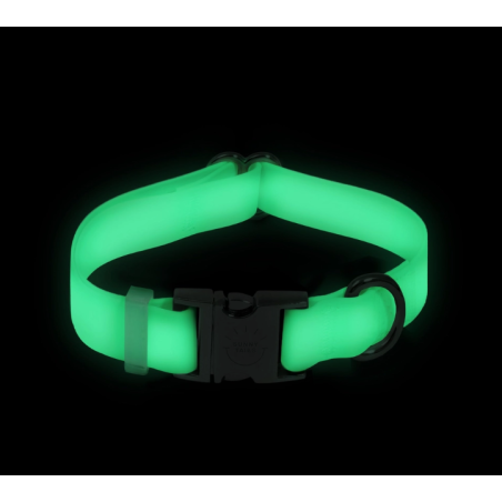 Collier Lunar Glow Phosphorescent pour Chien – Confort & Sécurité