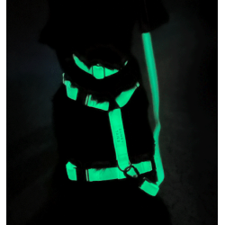 Collier Lunar Glow Phosphorescent pour Chien – Confort & Sécurité