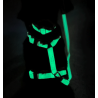 Collier Lunar Glow Phosphorescent pour Chien – Confort & Sécurité