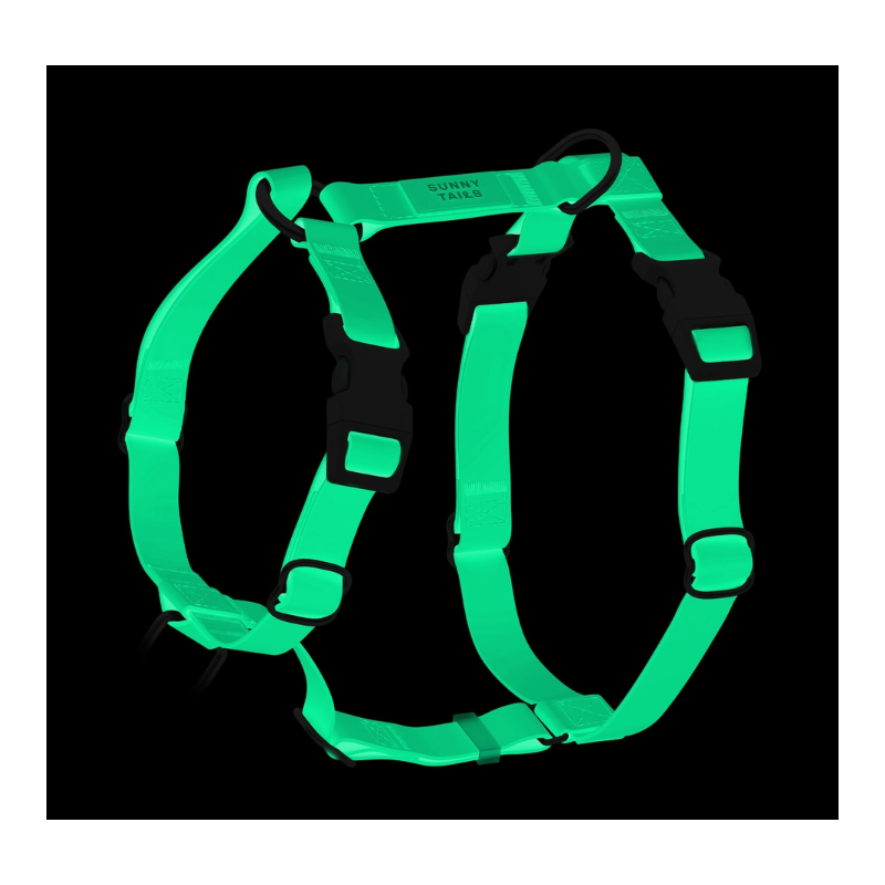 Harnais Phosphorescent – L’élégance du jour, la sécurité de la nuit.
