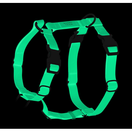 Harnais Phosphorescent – L’élégance du jour, la sécurité de la nuit.