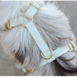 Harnais Phosphorescent – L’élégance du jour, la sécurité de la nuit.