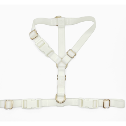 Harnais Phosphorescent – L’élégance du jour, la sécurité de la nuit.