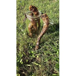 Cou de dinde pour chien | Friandise naturelle à mâcher Com’ Educ