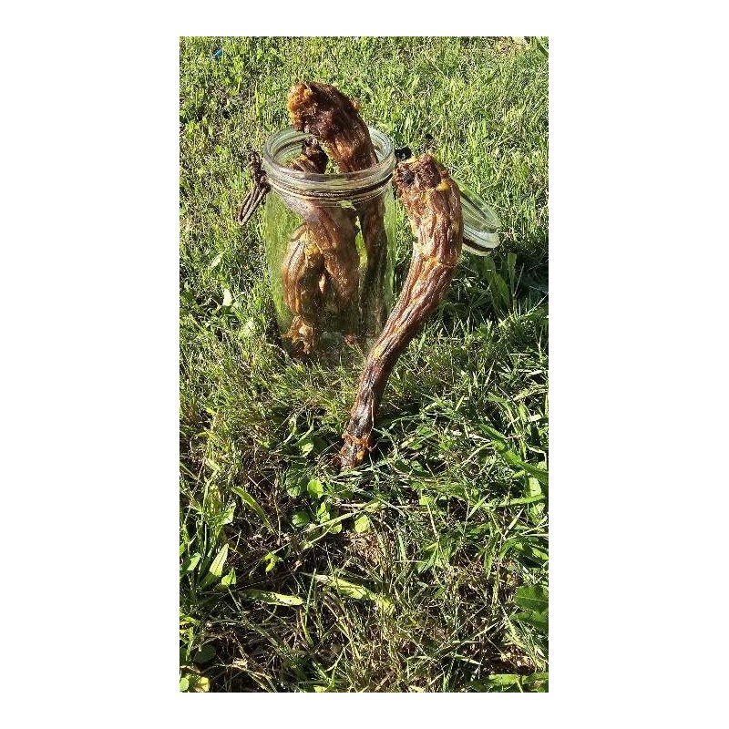 Cou de dinde pour chien | Friandise naturelle à mâcher Com’ Educ