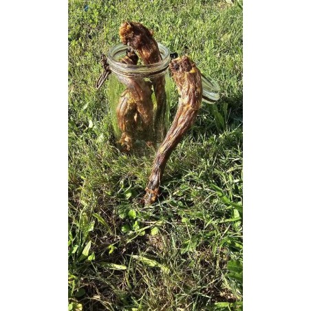 Cou de dinde pour chien | Friandise naturelle à mâcher Com’ Educ