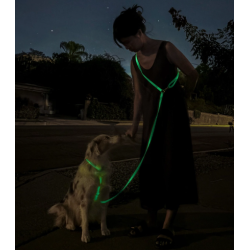 Laisse Phosphorescent – L’élégance du jour, la sécurité de la nuit.