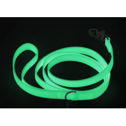 Laisse Phosphorescent – L’élégance du jour, la sécurité de la nuit.