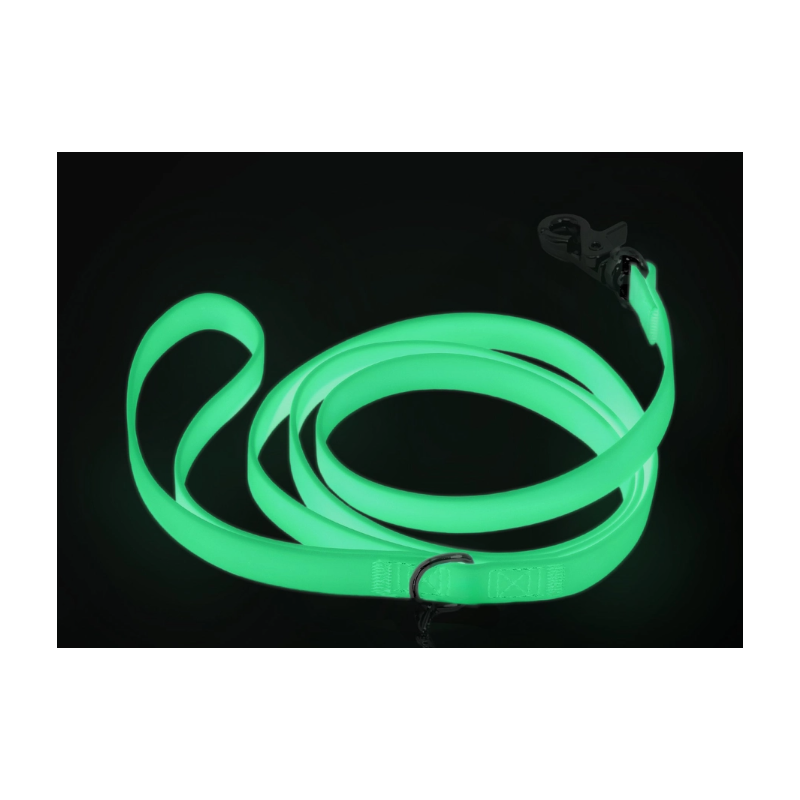 Laisse Phosphorescent – L’élégance du jour, la sécurité de la nuit.