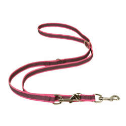 Laisse Gomme Multipostions