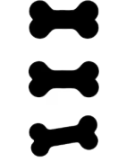 Longue durée