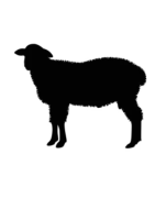 Mouton
