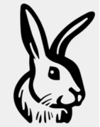 Lapin